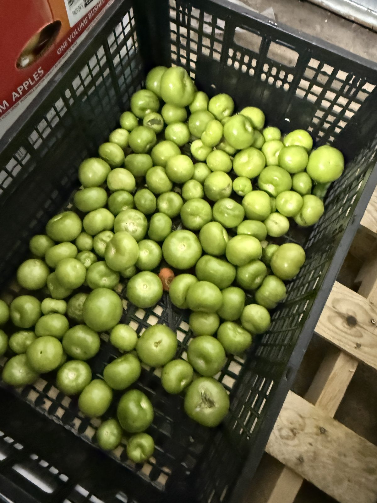 MAK Tomatillos